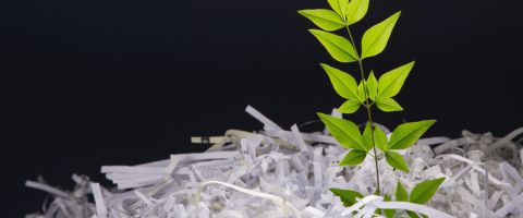 Destrucción y Reciclaje Sustentable de Documentos: Cómo Tu Empresa Puede Ser Green y Cumplir Normas