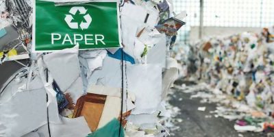 Programa de Compra de Merma de Papel: Cómo Sharkit Paga por tu Desperdicio en Lugar de Cobrarte por Recolectarlo