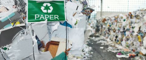 Programa de Compra de Merma de Papel: Cómo Sharkit Paga por tu Desperdicio en Lugar de Cobrarte por Recolectarlo